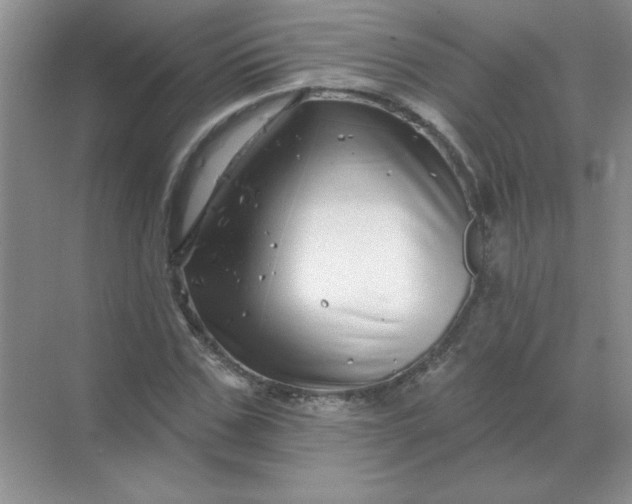 X0000068890971200605192131