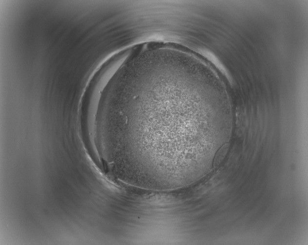 X0000068890972200605192131