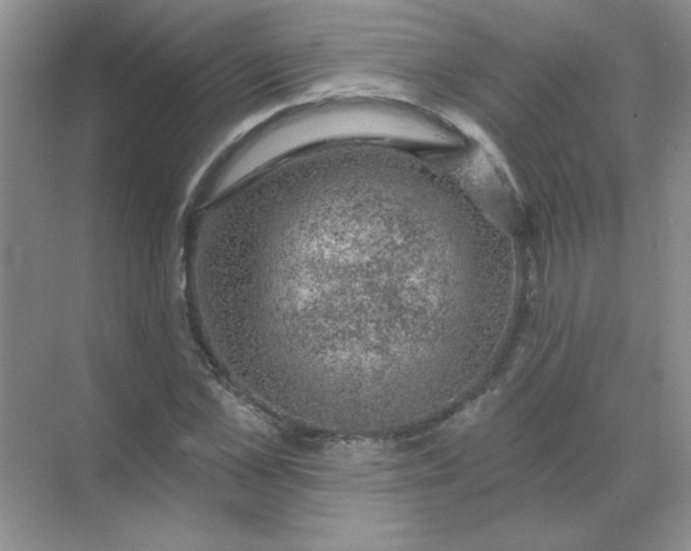 X0000068890973200605192131