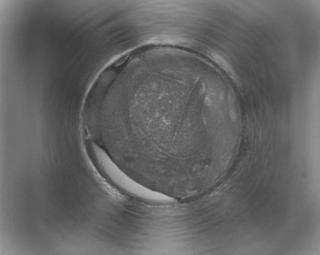 X0000068890976200605192130