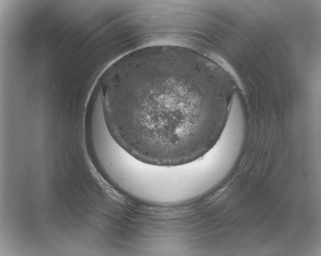 X0000068890980200605192130