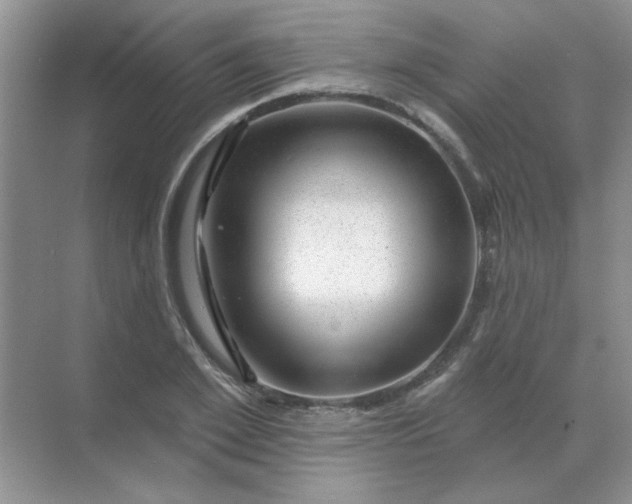 X0000068890981200605192130