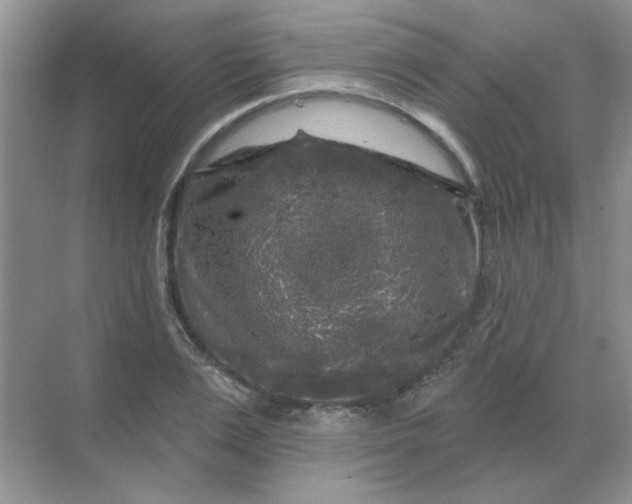 X0000068890983200605192130