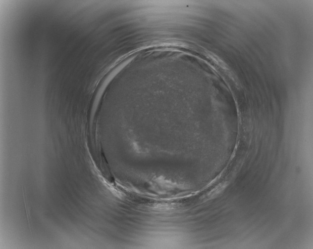 X0000068890985200605192130