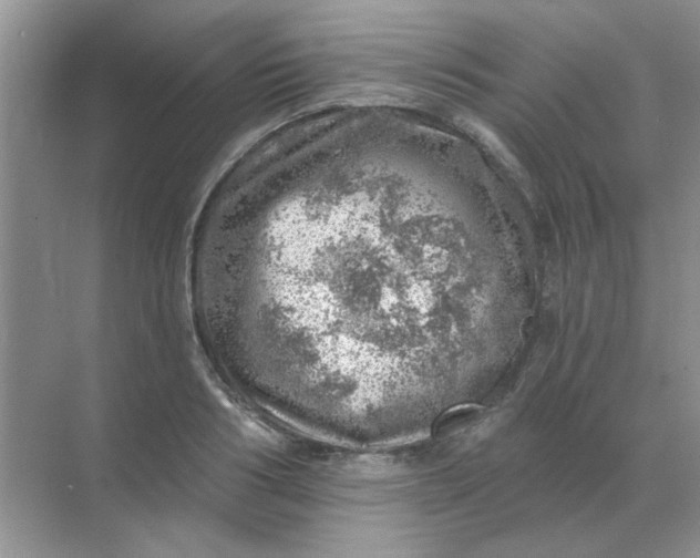 X0000068890986200605192130