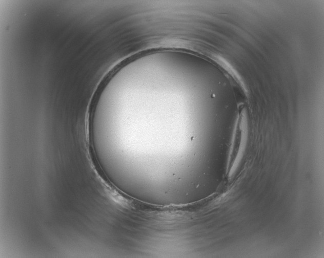 X0000068890988200605192130