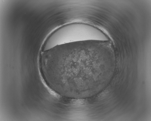 X0000068890991200605192130