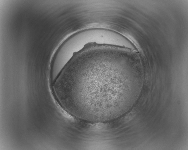 X0000068890992200605192130