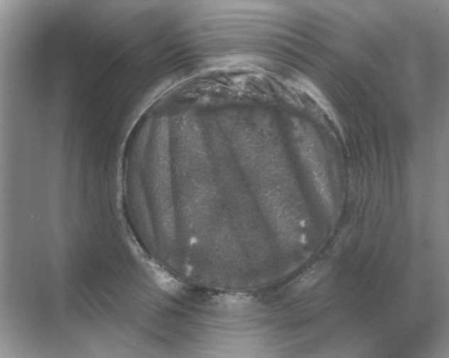 X0000068890994200605192130