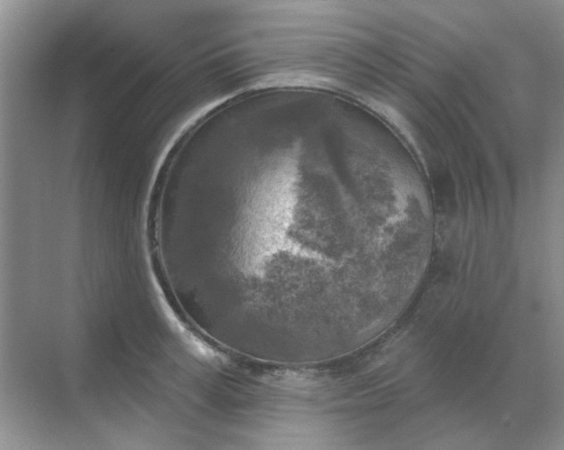 X0000068890995200605192130