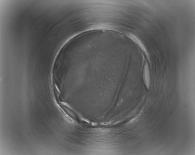 X0000068890996200605192130