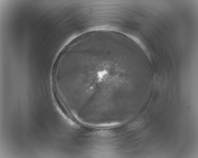 X0000068890998200605192130