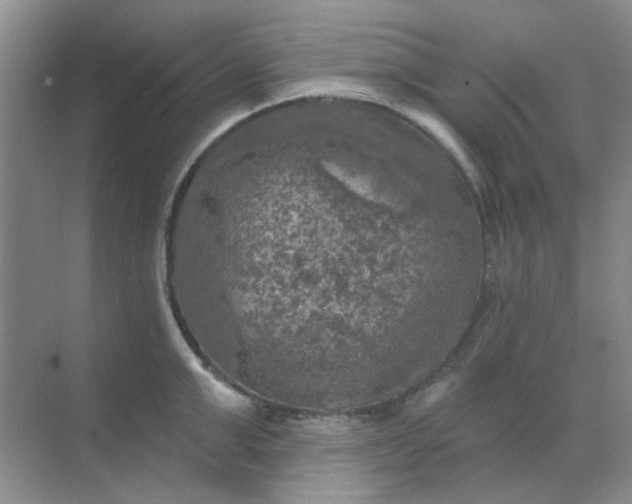 X0000068890999200605192130