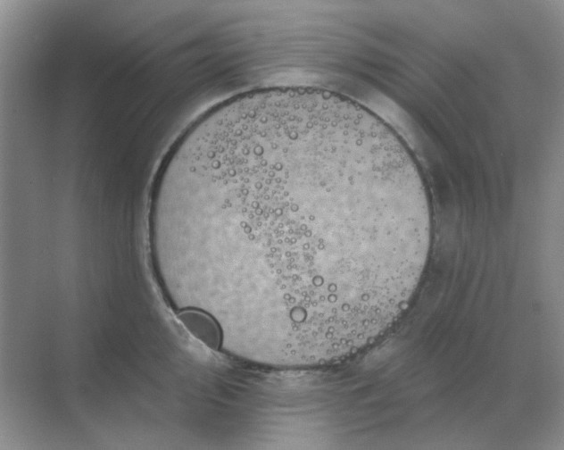 X0000068891000200605192130