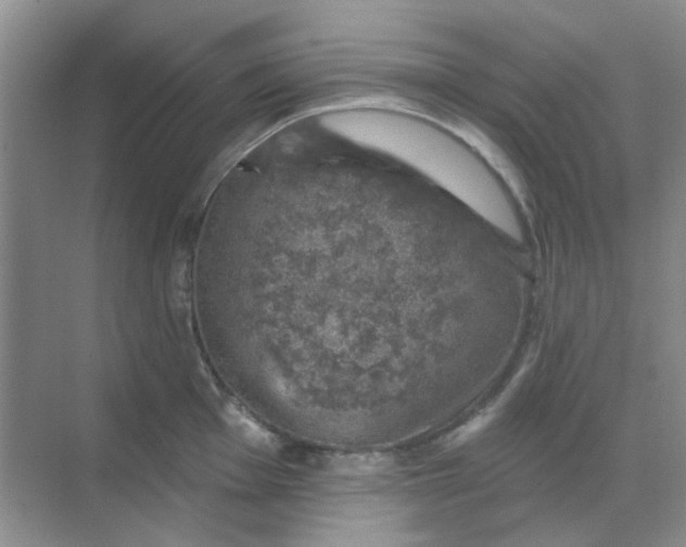 X0000068891001200605192130