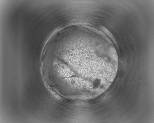 X0000068891002200605192130