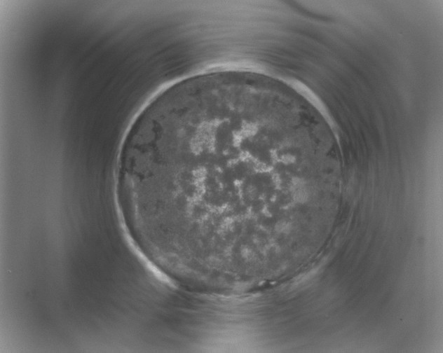 X0000068891005200605192130