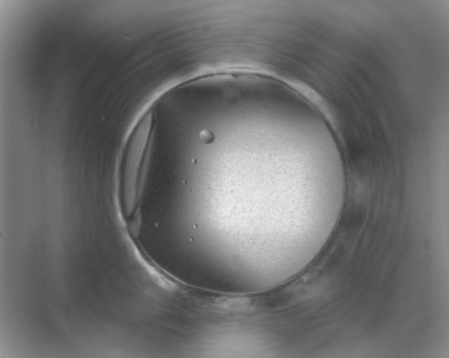 X0000068891006200605192130