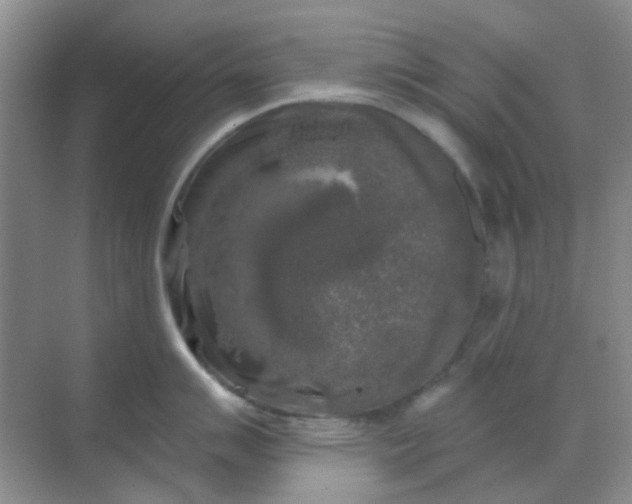 X0000068891007200605192130