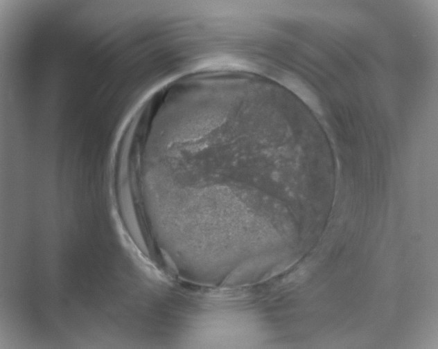 X0000068891008200605192130