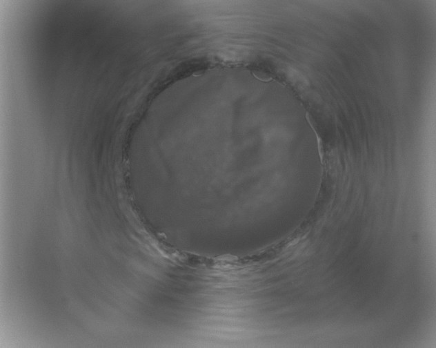 X0000068891009200605192129