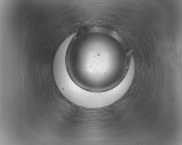 X0000068891010200605192129