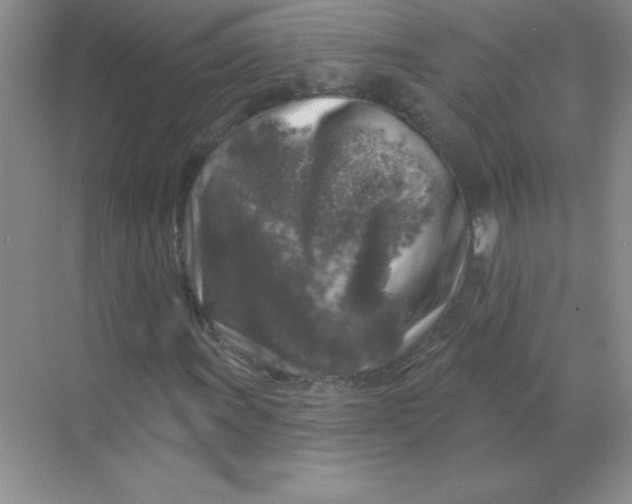 X0000068891011200605192129