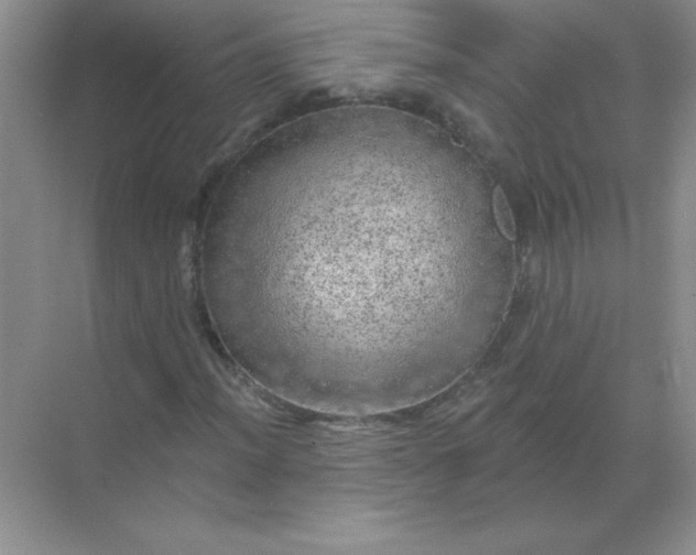 X0000068891012200605192129