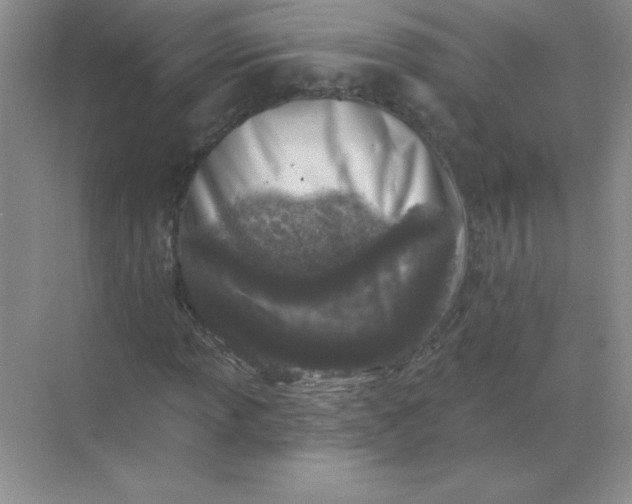 X0000068891013200605192129