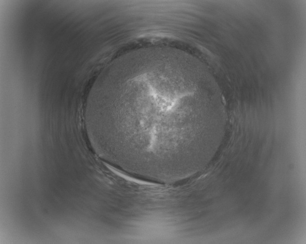 X0000068891014200605192129