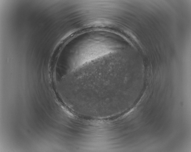 X0000068891018200605192129