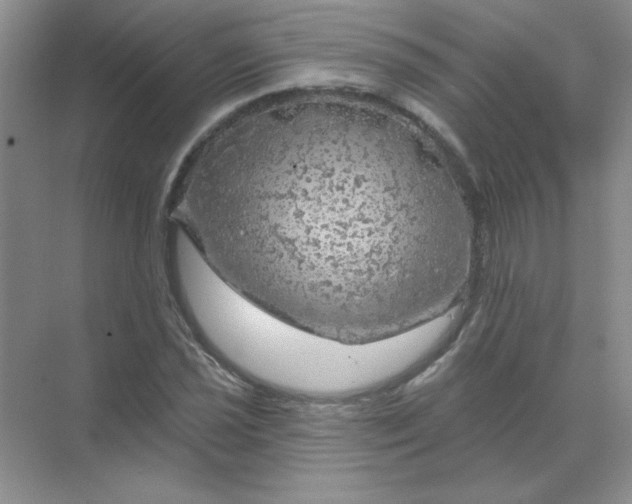 X0000068891021200605192129