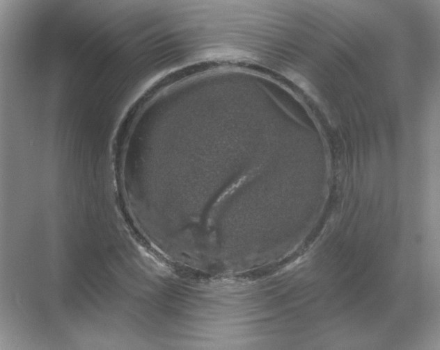 X0000068891022200605192129