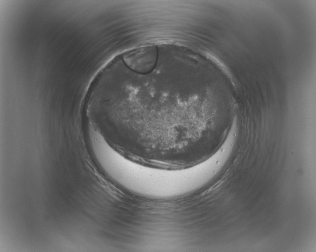 X0000068891023200605192129