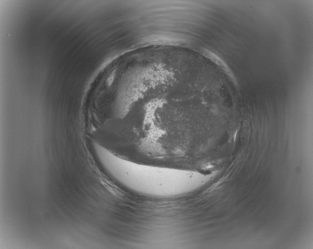 X0000068891027200605192129