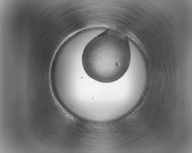 X0000068891028200605192129