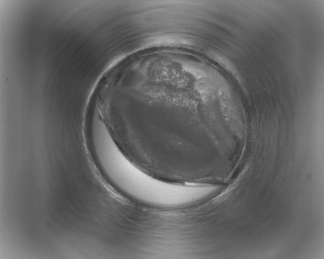 X0000068891029200605192129