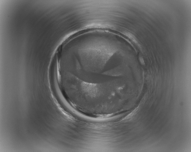 X0000068891030200605192129