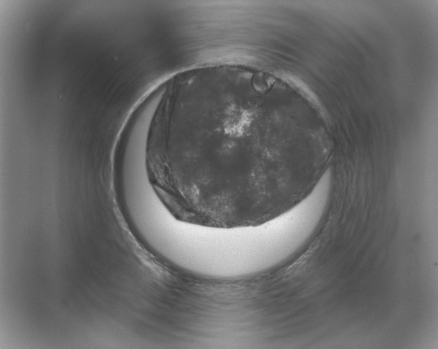 X0000068891031200605192129