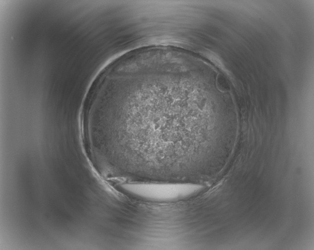 X0000068891032200605192129