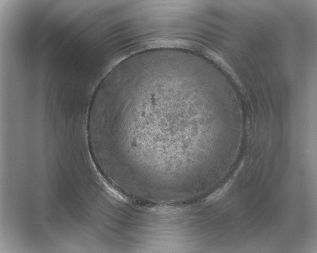 X0000068891033200605192130