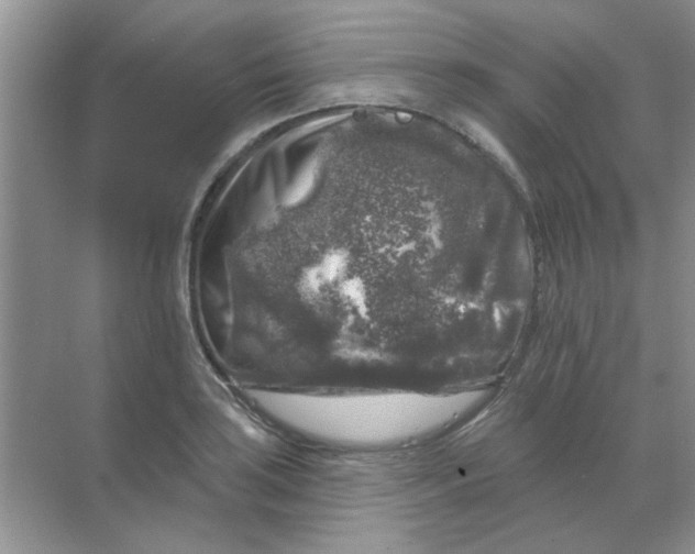 X0000068891035200605192130