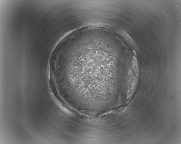 X0000068891036200605192130