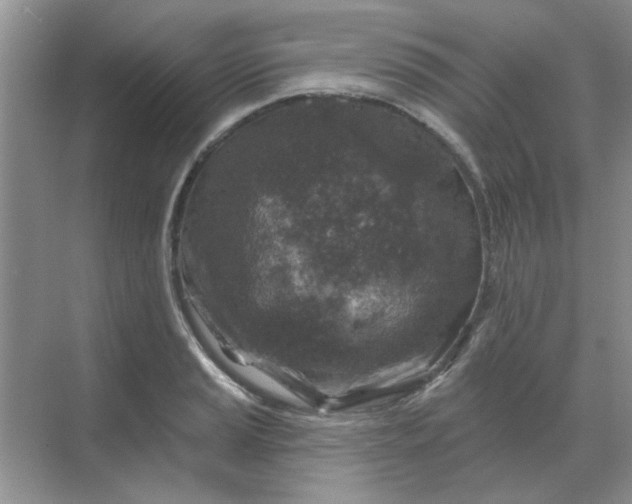 X0000068891037200605192130