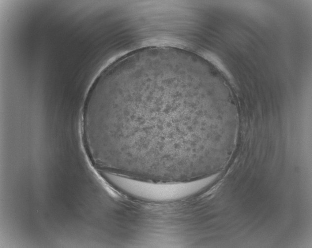 X0000068891040200605192130