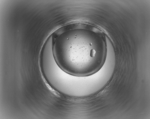 X0000068891042200605192130