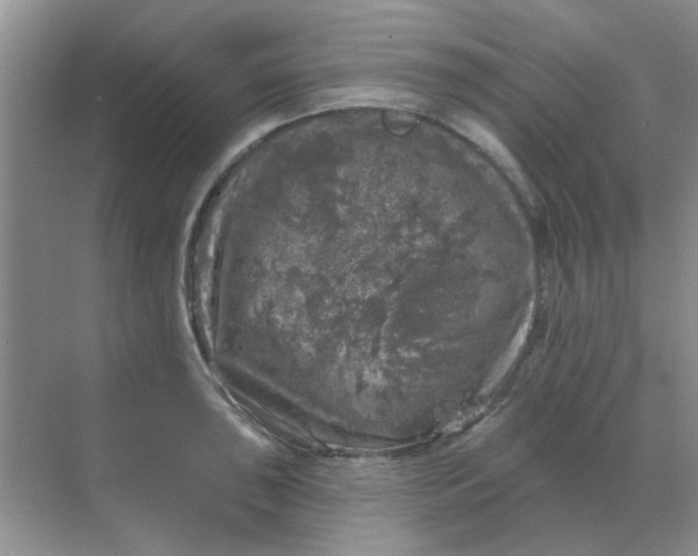 X0000068891043200605192130