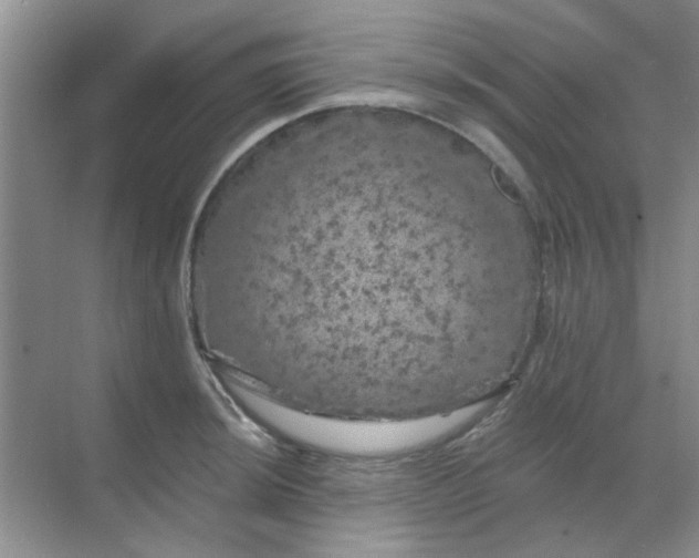 X0000068891044200605192130