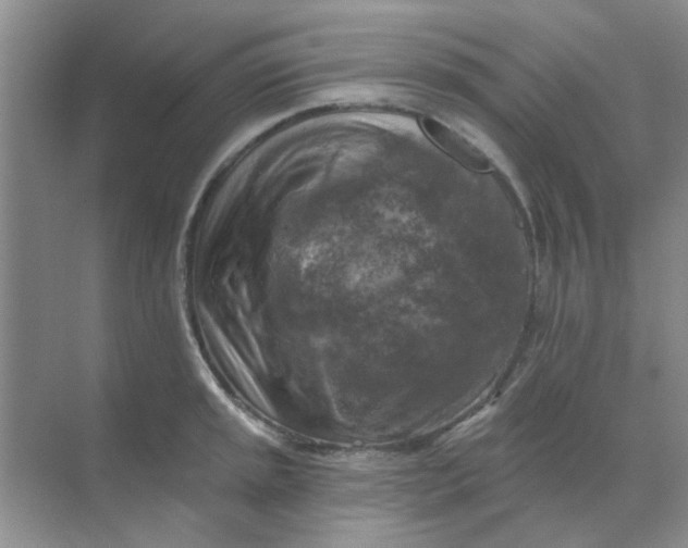 X0000068891045200605192130