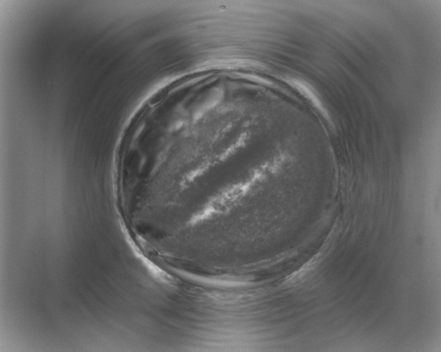 X0000068891046200605192130